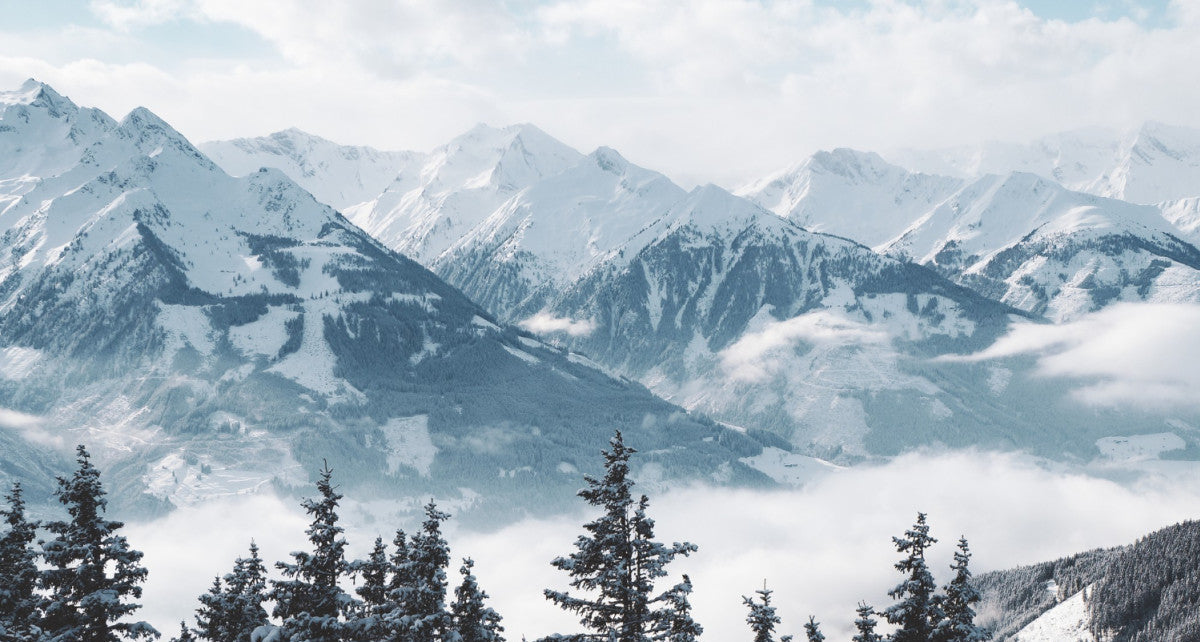 Collagène : Les mélanges à éviter